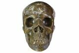 Realistic, Polished Moss Agate Skull #116519-1